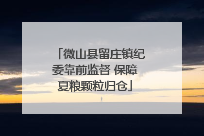 微山县留庄镇纪委靠前监督 保障夏粮颗粒归仓
