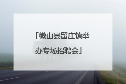 微山县留庄镇举办专场招聘会