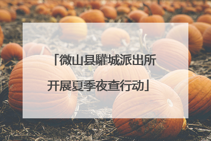 微山县驩城派出所开展夏季夜查行动