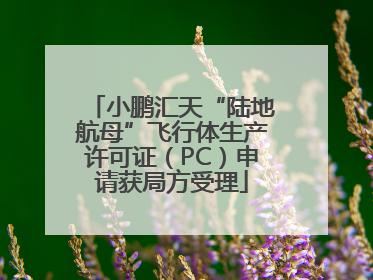 小鹏汇天“陆地航母”飞行体生产许可证（PC）申请获局方受理