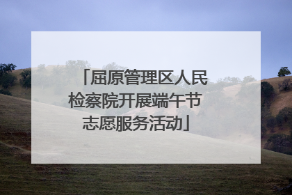 屈原管理区人民检察院开展端午节志愿服务活动