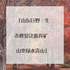 山东巨野：生态修复让废弃矿山变绿水青山