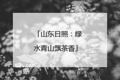 山东日照：绿水青山飘茶香