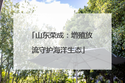 山东荣成：增殖放流守护海洋生态