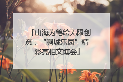 山海为笔绘无限创意，“鹏城乐园”精彩亮相文博会