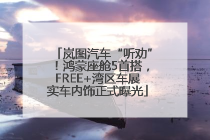 岚图汽车“听劝”！鸿蒙座舱5首搭，FREE+湾区车展实车内饰正式曝光