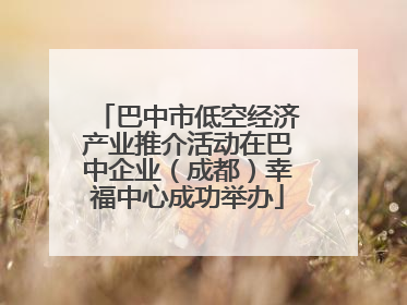 巴中市低空经济产业推介活动在巴中企业（成都）幸福中心成功举办