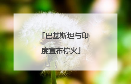 巴基斯坦与印度宣布停火