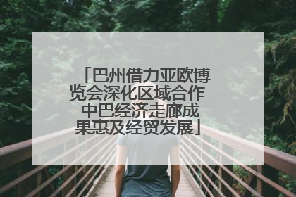巴州借力亚欧博览会深化区域合作 中巴经济走廊成果惠及经贸发展