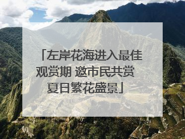 左岸花海进入最佳观赏期 邀市民共赏夏日繁花盛景