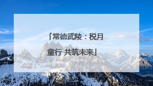 常德武陵：税月童行 共筑未来