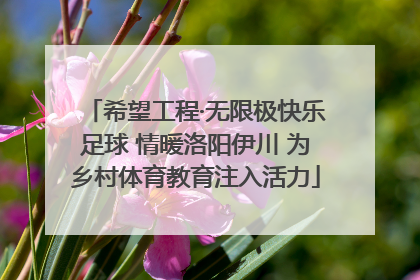 希望工程·无限极快乐足球 情暖洛阳伊川 为乡村体育教育注入活力