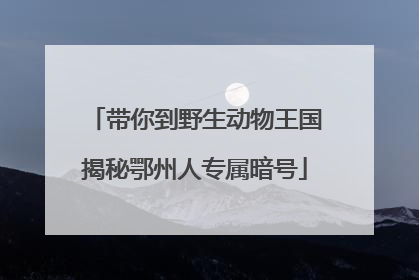 带你到野生动物王国揭秘鄂州人专属暗号