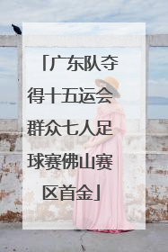 广东队夺得十五运会群众七人足球赛佛山赛区首金