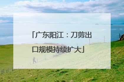 广东阳江：刀剪出口规模持续扩大