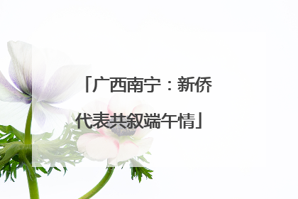 广西南宁：新侨代表共叙端午情