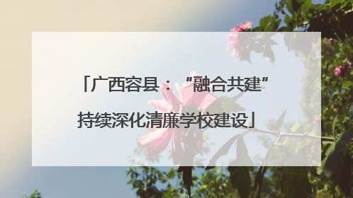 广西容县：“融合共建”持续深化清廉学校建设