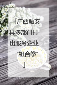 广西融安县多部门打出服务企业“组合拳”