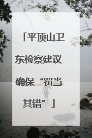 平顶山卫东检察建议确保“罚当其错”