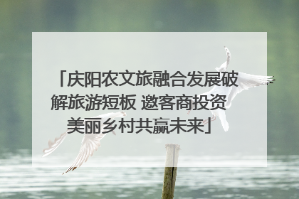 庆阳农文旅融合发展破解旅游短板 邀客商投资美丽乡村共赢未来