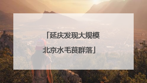 延庆发现大规模北京水毛茛群落