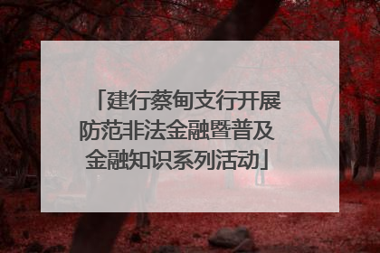 建行蔡甸支行开展防范非法金融暨普及金融知识系列活动
