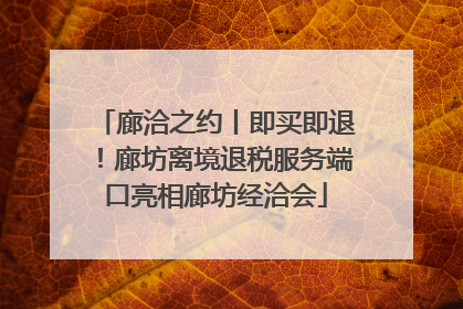 廊洽之约丨即买即退！廊坊离境退税服务端口亮相廊坊经洽会