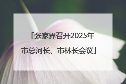 张家界召开2025年市总河长、市林长会议