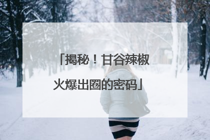揭秘！甘谷辣椒火爆出圈的密码