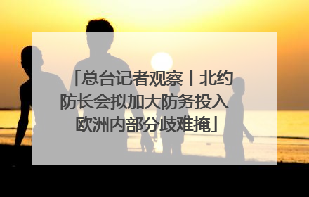 总台记者观察丨北约防长会拟加大防务投入 欧洲内部分歧难掩