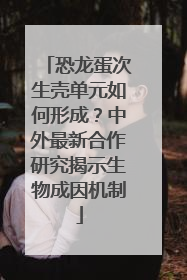 恐龙蛋次生壳单元如何形成？中外最新合作研究揭示生物成因机制