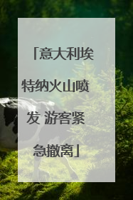 意大利埃特纳火山喷发 游客紧急撤离