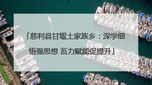 慈利县甘堰土家族乡：深学细悟强思想 蓄力赋能促提升