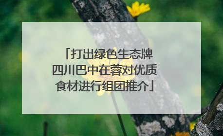 打出绿色生态牌 四川巴中在蓉对优质食材进行组团推介