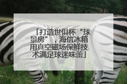 打造世俱杯“球景房”，海信冰箱用真空磁场保鲜技术满足球迷味蕾