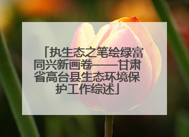 执生态之笔绘绿富同兴新画卷——甘肃省高台县生态环境保护工作综述