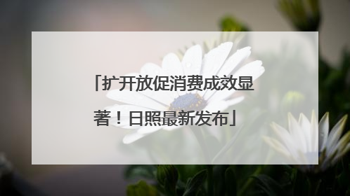 扩开放促消费成效显著！日照最新发布