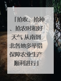 抢收、抢种、抢农时和好天气 从南到北各地多举措保障农业生产顺利进行