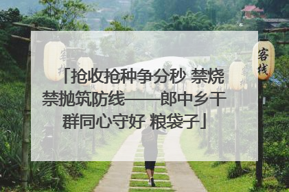 抢收抢种争分秒 禁烧禁抛筑防线——郎中乡干群同心守好 粮袋子