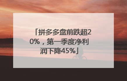 拼多多盘前跌超20%，第一季度净利润下降45%