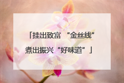 挂出致富 “金丝线” 煮出振兴“好味道”