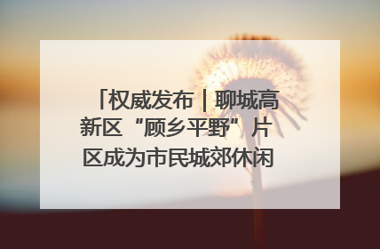 权威发布｜聊城高新区“顾乡平野”片区成为市民城郊休闲全新目的地