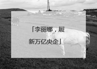 李丽娜，履新万亿央企