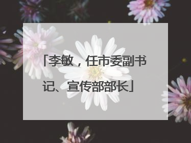 李敏，任市委副书记、宣传部部长