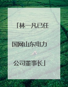 林一凡已任国网山东电力公司董事长