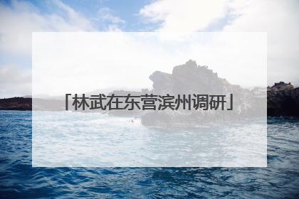 林武在东营滨州调研