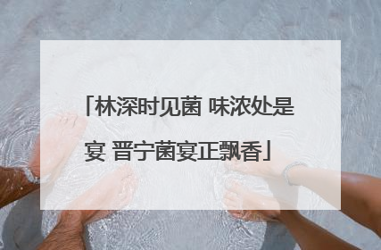 林深时见菌 味浓处是宴 晋宁菌宴正飘香