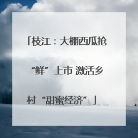 枝江：大棚西瓜抢“鲜”上市 激活乡村“甜蜜经济”