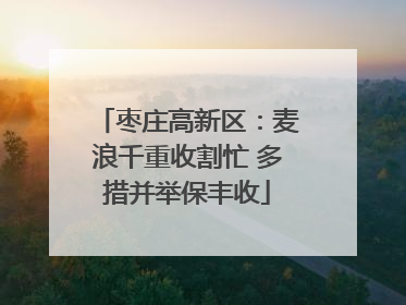 枣庄高新区：麦浪千重收割忙 多措并举保丰收