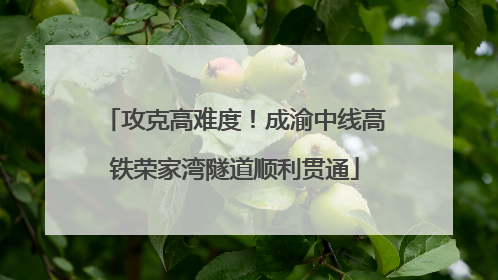 攻克高难度！成渝中线高铁荣家湾隧道顺利贯通